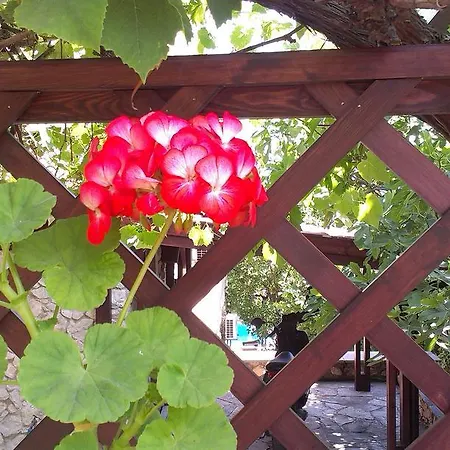 Guest house Krista 3*