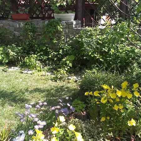 Guest house Krista Sunny Beach