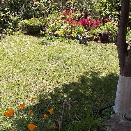 بيت ضيافة Vila Krista 3*