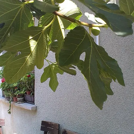 بيت ضيافة Vila Krista